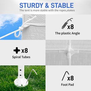 561221631
